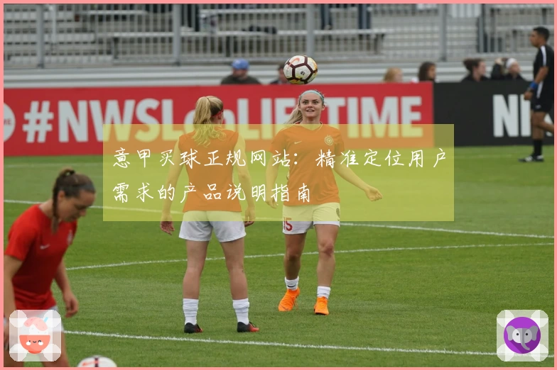 意甲买球正规网站：精准定位用户需求的产品说明指南