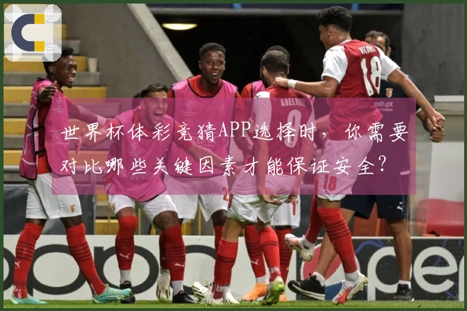 世界杯体彩竞猜APP选择时，你需要对比哪些关键因素才能保证安全？
