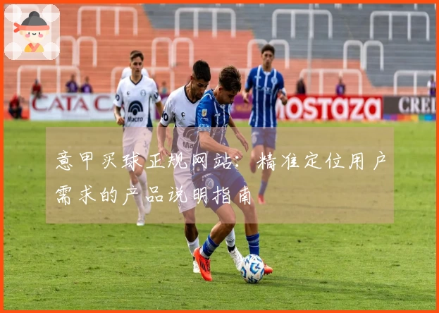 意甲买球正规网站：精准定位用户需求的产品说明指南