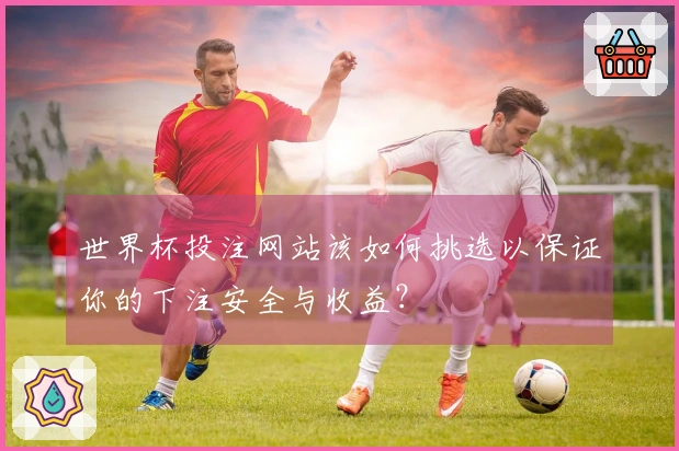 世界杯投注网站该如何挑选以保证你的下注安全与收益？
