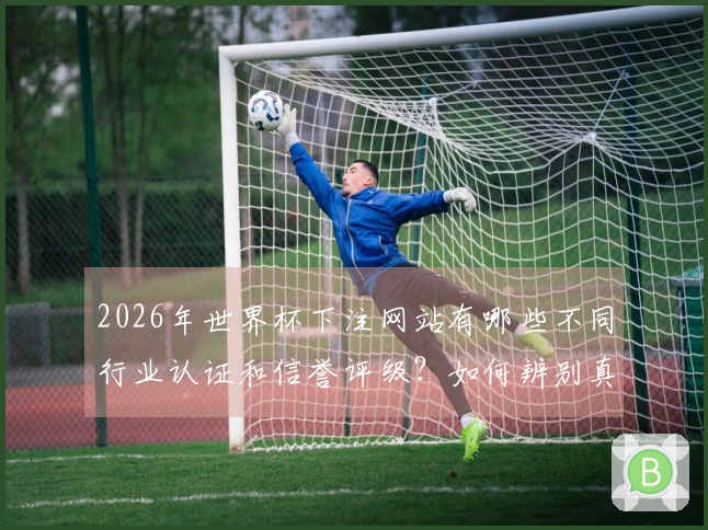 2026年世界杯下注网站有哪些不同行业认证和信誉评级?如何辨别真伪?