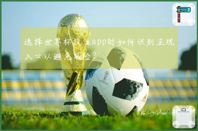 选择世界杯投注app时如何识别正规入口以避免风险？