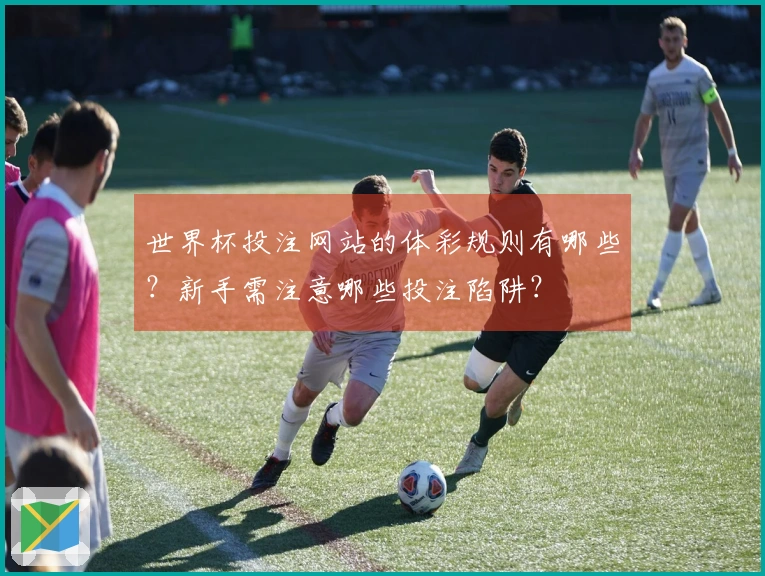 世界杯投注网站的体彩规则有哪些？新手需注意哪些投注陷阱？