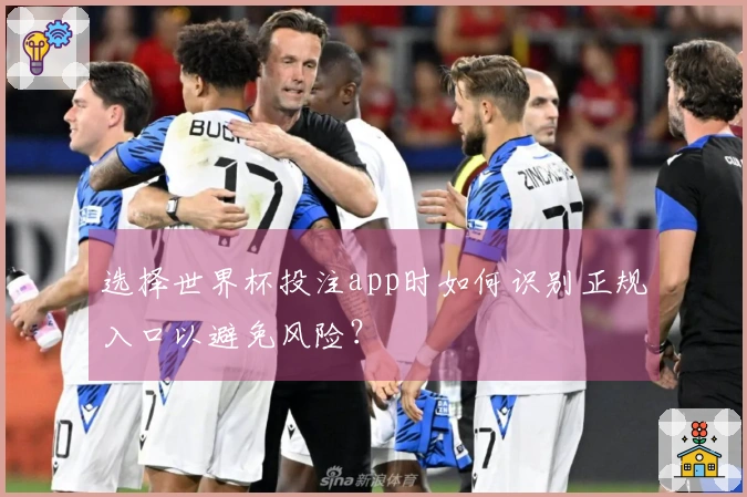 选择世界杯投注app时如何识别正规入口以避免风险？