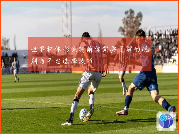 世界杯体彩竞猜前你需要了解的规则与平台选择技巧