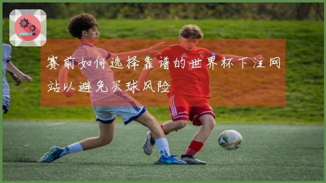 赛前如何选择靠谱的世界杯下注网站以避免买球风险