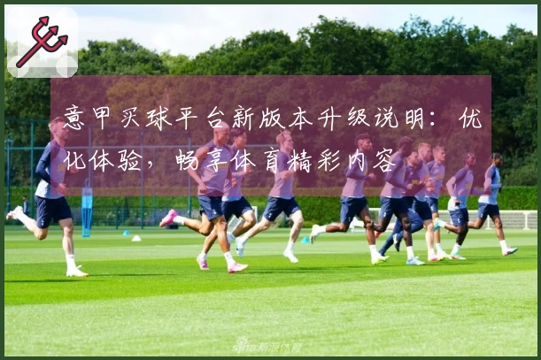 意甲买球平台新版本升级说明：优化体验，畅享体育精彩内容